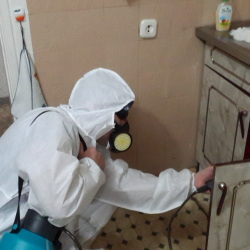Дезинфекция от муравьев в квартире в Гагаринском районе Москвы
