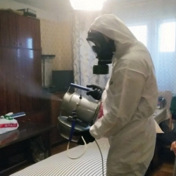 Дезинфекция от клопов в Гагаринском районе Москвы